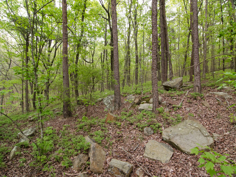 Bring your Jasper Dreams! (Previously Listed)