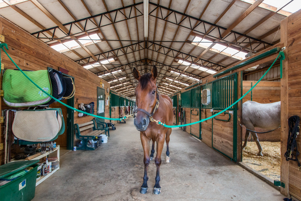 Monroe Equestrian Estate Is Without Equal (Previously listed)